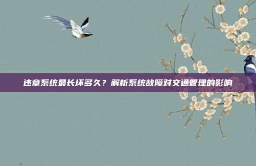 违章系统最长坏多久？解析系统故障对交通管理的影响
