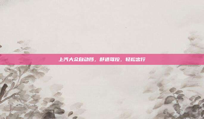 上汽大众自动挡，舒适驾控，轻松出行