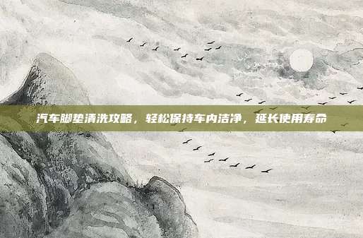 汽车脚垫清洗攻略，轻松保持车内洁净，延长使用寿命
