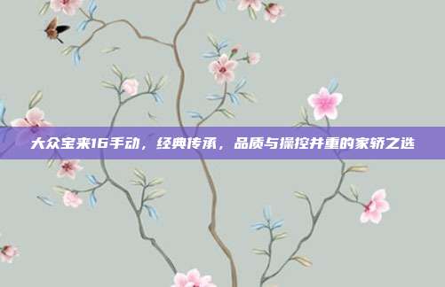 大众宝来16手动，经典传承，品质与操控并重的家轿之选