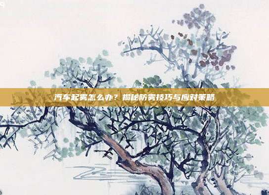 汽车起雾怎么办？揭秘防雾技巧与应对策略