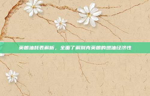 英朗油耗表解析，全面了解别克英朗的燃油经济性