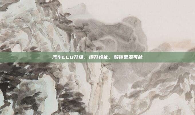 汽车ECU升级，提升性能，解锁更多可能