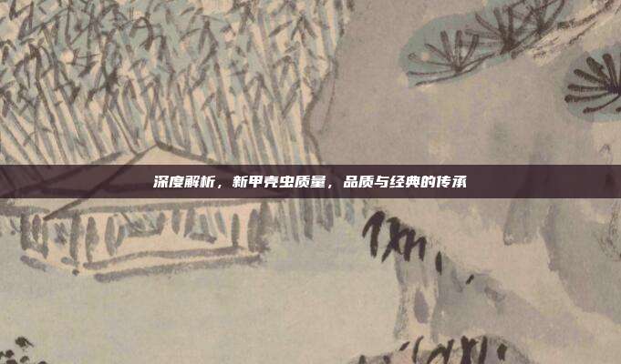 深度解析，新甲壳虫质量，品质与经典的传承