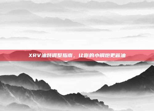 XRV油耗调整指南，让你的小钢炮更省油