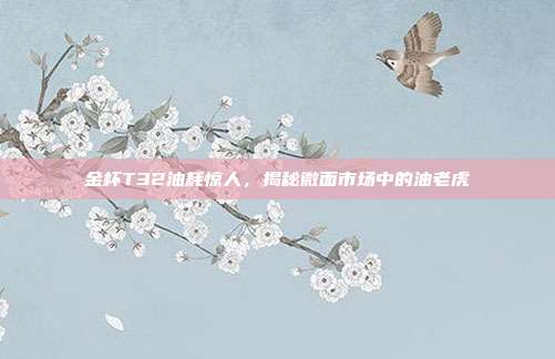 金杯T32油耗惊人，揭秘微面市场中的油老虎
