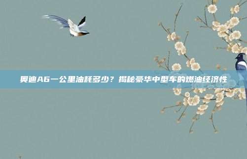 奥迪A6一公里油耗多少？揭秘豪华中型车的燃油经济性