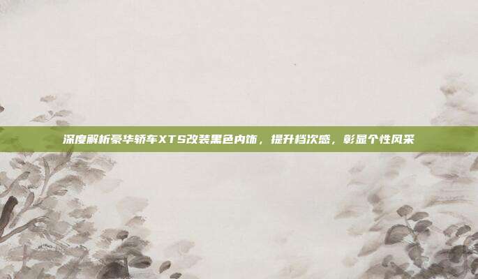 深度解析豪华轿车XTS改装黑色内饰，提升档次感，彰显个性风采