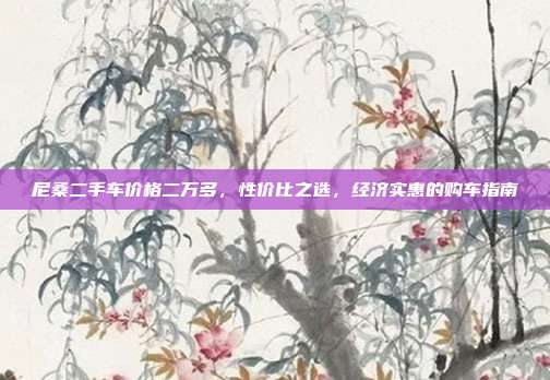 尼桑二手车价格二万多，性价比之选，经济实惠的购车指南