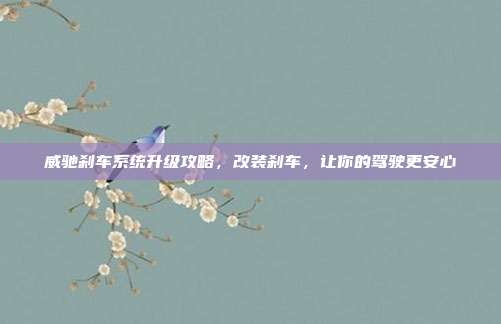 威驰刹车系统升级攻略，改装刹车，让你的驾驶更安心