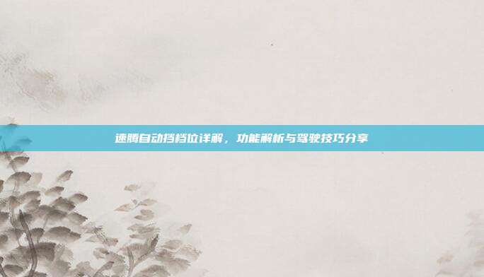 速腾自动挡档位详解，功能解析与驾驶技巧分享