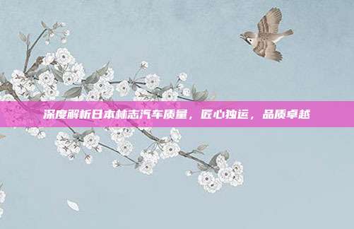 深度解析日本林志汽车质量，匠心独运，品质卓越