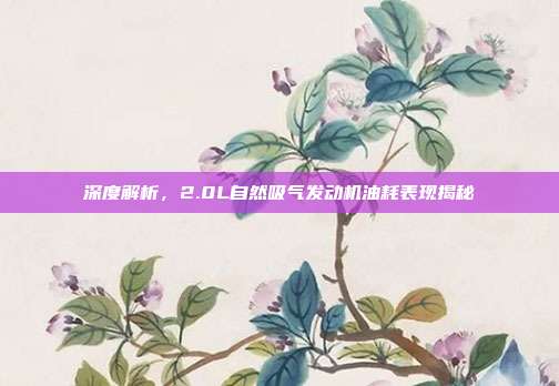 深度解析，2.0L自然吸气发动机油耗表现揭秘