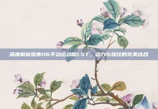深度解析哈弗H6手动运动版1.5T，动力与操控的完美结合