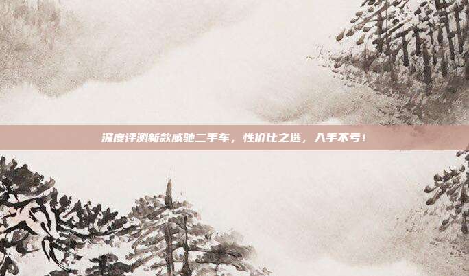 深度评测新款威驰二手车，性价比之选，入手不亏！