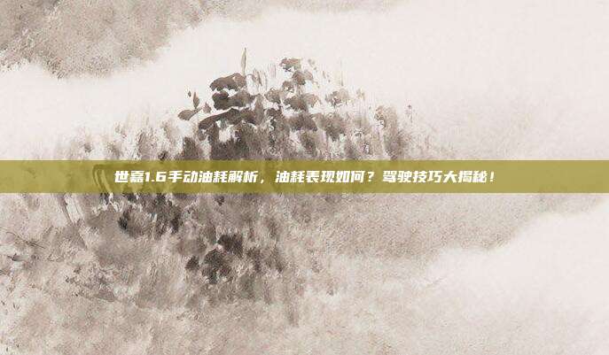世嘉1.6手动油耗解析，油耗表现如何？驾驶技巧大揭秘！