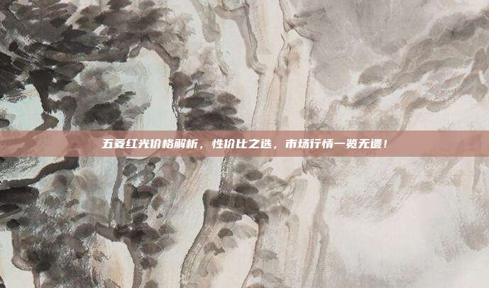 五菱红光价格解析，性价比之选，市场行情一览无遗！