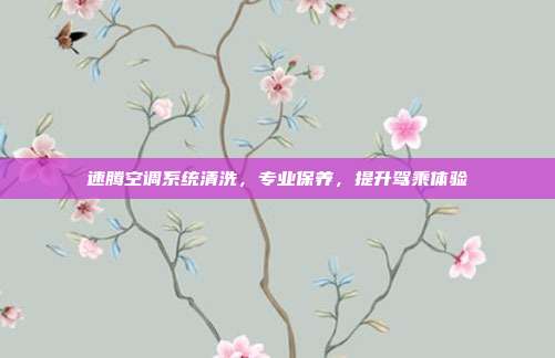 速腾空调系统清洗，专业保养，提升驾乘体验