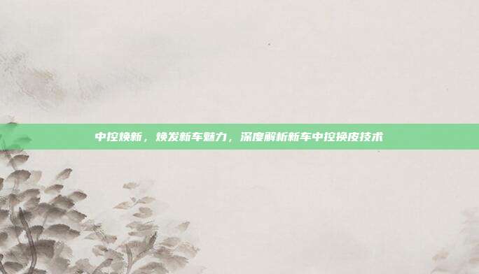 中控焕新，焕发新车魅力，深度解析新车中控换皮技术
