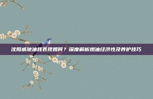 沈阳威驰油耗表现如何？深度解析燃油经济性及养护技巧