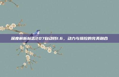 深度解析标志207自动挡1.6，动力与操控的完美融合