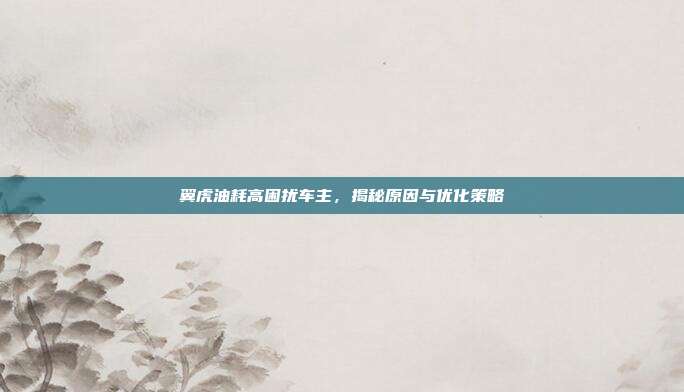 翼虎油耗高困扰车主，揭秘原因与优化策略