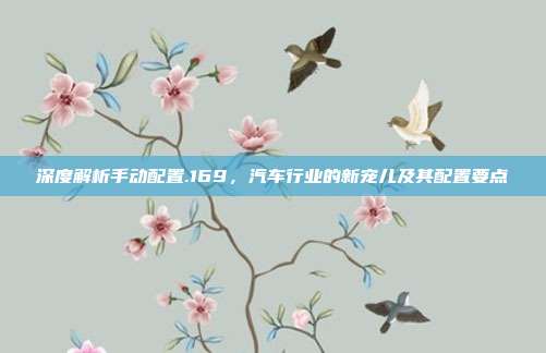 深度解析手动配置.169，汽车行业的新宠儿及其配置要点