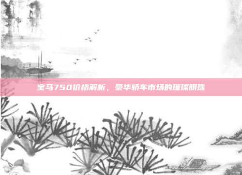 宝马750价格解析，豪华轿车市场的璀璨明珠