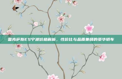 雷克萨斯ES宁波价格解析，性价比与品质兼顾的豪华轿车