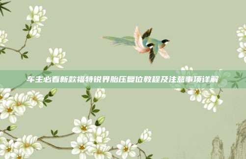 车主必看新款福特锐界胎压复位教程及注意事项详解