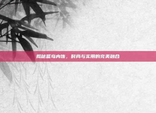 揭秘篮鸟内饰，时尚与实用的完美融合