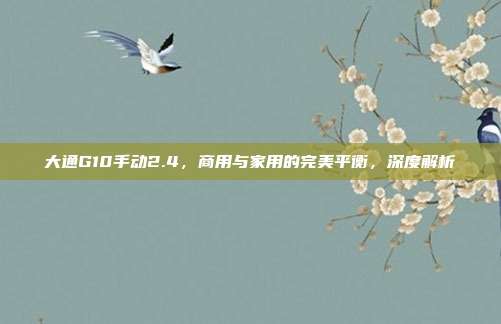大通G10手动2.4，商用与家用的完美平衡，深度解析