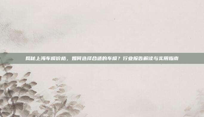 揭秘上海车模价格，如何选择合适的车模？行业报告解读与实用指南
