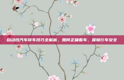 自动挡汽车停车技巧全解析，如何正确着车，保障行车安全