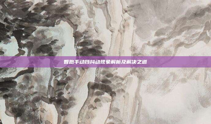 智跑手动挡抖动现象解析及解决之道