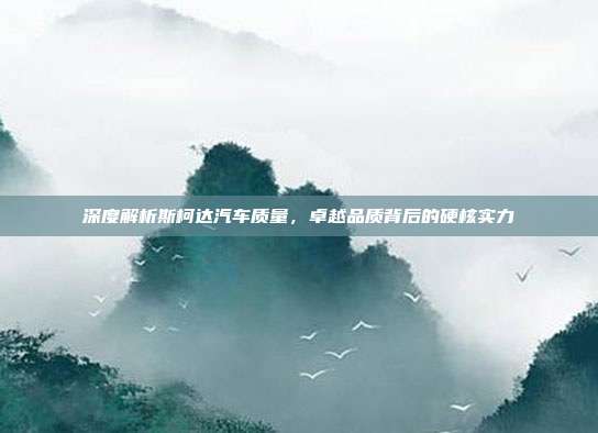 深度解析斯柯达汽车质量，卓越品质背后的硬核实力
