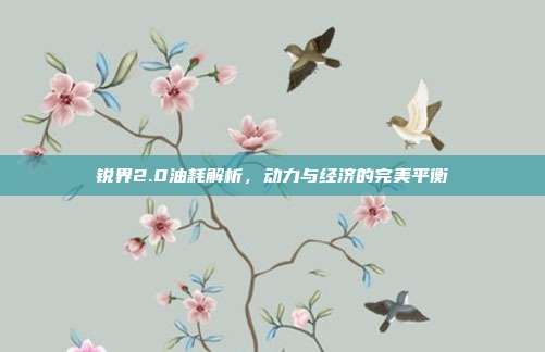 锐界2.0油耗解析，动力与经济的完美平衡