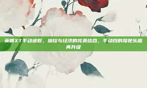 英朗XT手动进取，操控与经济的完美结合，手动挡的驾驶乐趣再升级