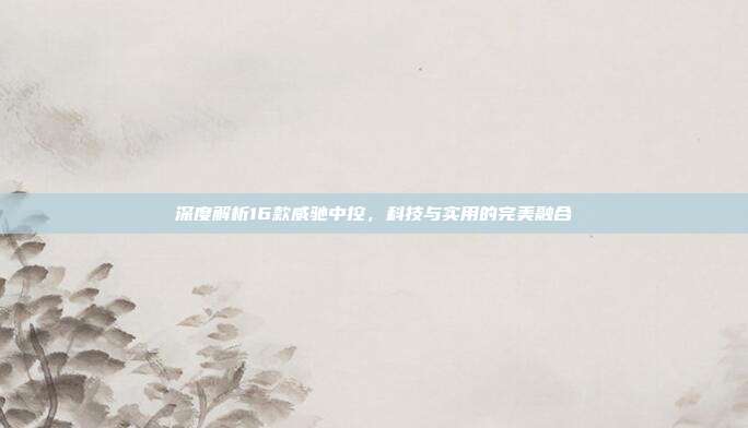深度解析16款威驰中控，科技与实用的完美融合