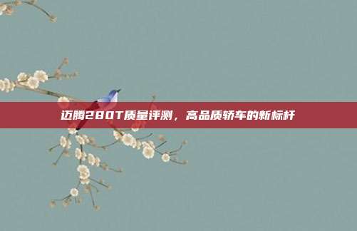 迈腾280T质量评测，高品质轿车的新标杆