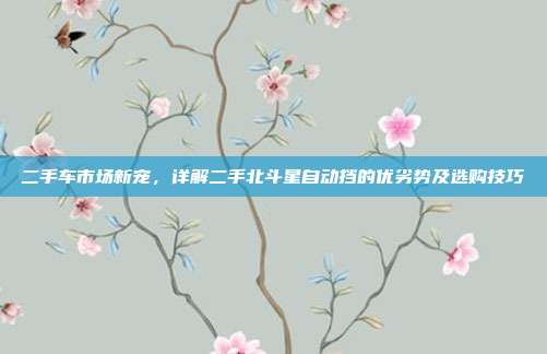 二手车市场新宠，详解二手北斗星自动挡的优劣势及选购技巧