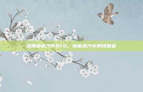 深度解析汽车BYD，新能源汽车的领航者