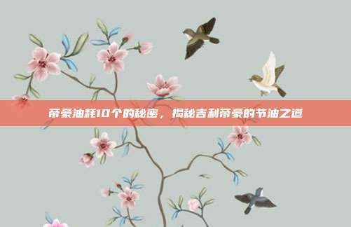 帝豪油耗10个的秘密，揭秘吉利帝豪的节油之道