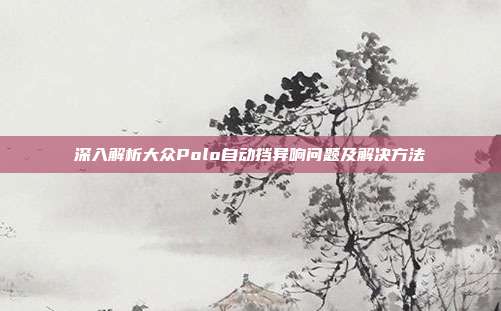 深入解析大众Polo自动挡异响问题及解决方法