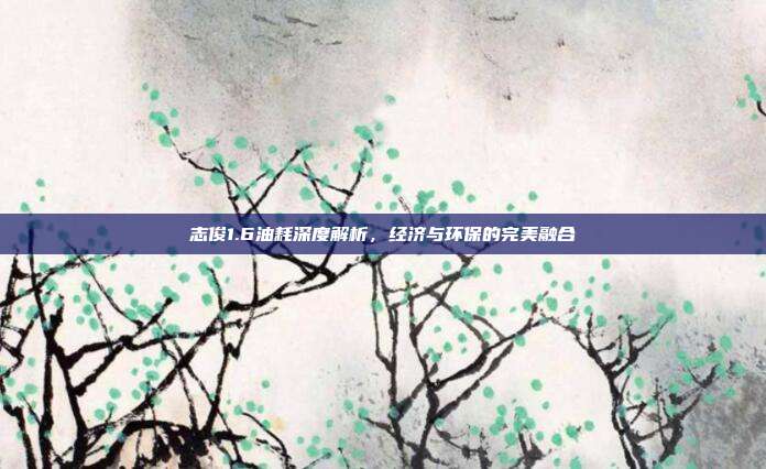 志俊1.6油耗深度解析，经济与环保的完美融合