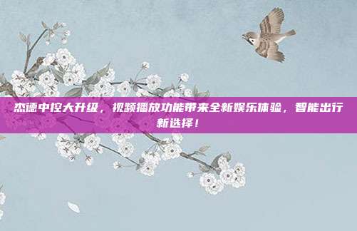 杰德中控大升级，视频播放功能带来全新娱乐体验，智能出行新选择！