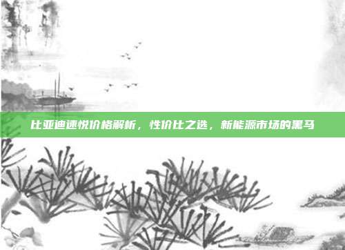 比亚迪速悦价格解析，性价比之选，新能源市场的黑马