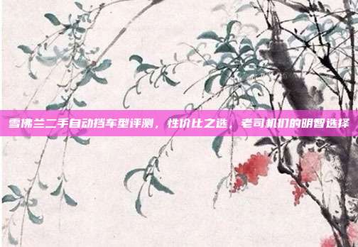 雪佛兰二手自动挡车型评测，性价比之选，老司机们的明智选择