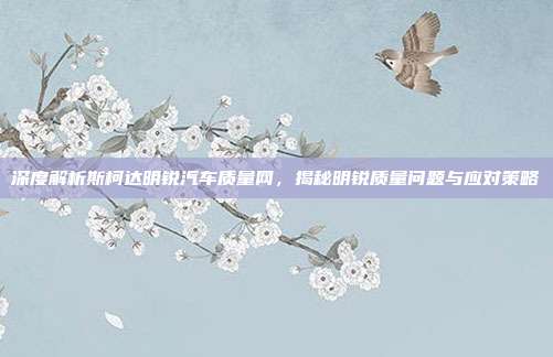 深度解析斯柯达明锐汽车质量网，揭秘明锐质量问题与应对策略