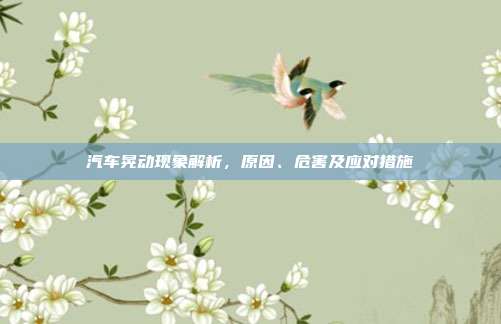 汽车晃动现象解析，原因、危害及应对措施